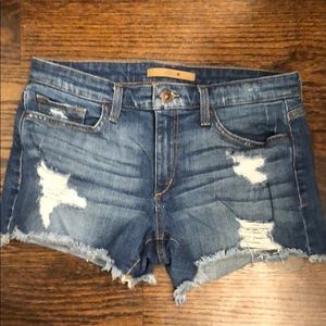 Joes denim shorts